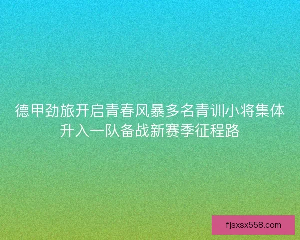 德甲劲旅开启青春风暴多名青训小将集体升入一队备战新赛季征程路